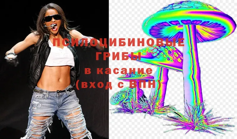 наркошоп  Бежецк  Галлюциногенные грибы Magic Shrooms 